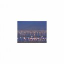 Mindfulness Healing Sleep BGM Project - Cezanne and Nervousness (Sleep BGM)