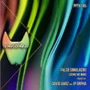 Falso Simulacro - Losing My Mind (David Aarz Vision 2)
