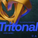 Tritonal & Eric Lumiere - Something Beautiful (Extended Mix)