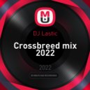 DJ Lastic - Crossbreed mix 2022