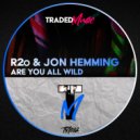 R2o & Jon Hemming - Are You All Wild (Original Mix)