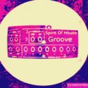 Salvatore Vitrano - Spirit Of House Groove (Original Mix)