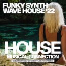House Stretch - Funky Feelings (Dub Mix)
