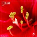 Tescana - Joyo (Extended Mix)