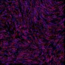 Isabel Soto - Sinus Node
