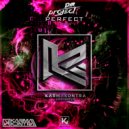 D.M. Project - Perfect (Extended)