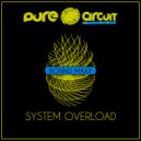 Bonnis Maxx - System Overload [Ecstasy] (Original Mix)