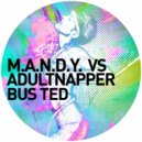 M.A.N.D.Y. vs. Adultnapper - Bus Ted (Kenny Larkin Long Neve Remix)