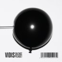Downtown Party Network - Owls Don\'t Cry (Vidis Edit)