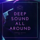Lemongrass feat. Jane Maximova - Night Is Here (Original Mix)