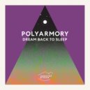 Polyarmory feat. Michael J Collins - Like Flies To Honey (Original Mix)