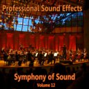 Professional Sound Effects Group & Milano Philharmonic & Seraphina Jane & The Music Man - Symphony of Sound Professional Sound Effects 5093