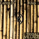 Carlos B & Knip - Gees Van Die Stam ()