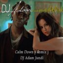 Rema, Selena Gomez - Calm Down (DJ Adam Jundi Remix)