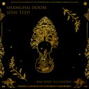 Josh Teed & Shanghai Doom - Ancient Illusions (Original Mix)