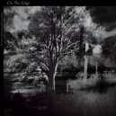 the limit of human understanding - Downfall