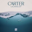 Carter - F528 (Original Mix)