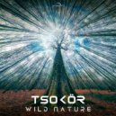 Tsokör - Fleeing Slavery (Original Mix)