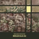 Around Paradise - Molecula 02