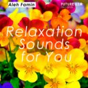 Aleh Famin - Relaxation Sounds for You ()