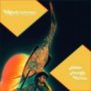 Deliriously Serious  - Roadrunner