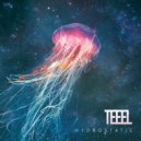 Teeel - Polar Bears ()