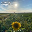 Ruimte Vogel - Matters (Original Mix)