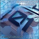 Chromatone, Samadhi - Summer Snow (Original Mix)