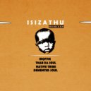 InQfive & Demented Soul - Isizathu (Imp5 Afro Mix)