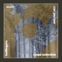 Coqui Selection - Can You See