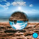 Milton Gray - What You See