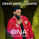 Craig David & Galantis - DNA