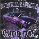 SPIRITUUM MALIGNUM & SLAUGHT PLAYA - BASS GODNESS ()