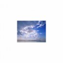 Mindfulness Healing Sleep BGM Project - Permian and Mindfulness (Sleep BGM)