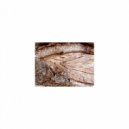 Mindfulness Healing Sleep BGM Project - Name and BGM