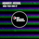 Aquadeep, Veesoul - Imagination (Original Mix)