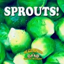 Asparagus Spears For Fears AKA The Allotmenteers - Sprouts! (Original Mix)