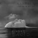 Säröllä - Growth Demands Patience (Original Mix)