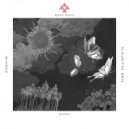 Rodhim - The Rays