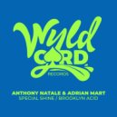 Anthony Natale, Adrian Mart - Special Shine (Original Mix)