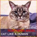 Northern Angel - Cat Like a Human (Original Mix)