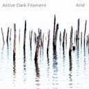 Active Dark Filament - Race Through Andalusia ()