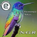 Tremonjai, Arkas - N.G.R (Original Mix)