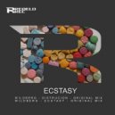 Wildberg - Distrucion (Original Mix)