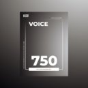 Igor Pumphonia - Voice