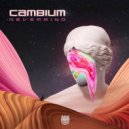 Cambium - Nevermind (Original Mix)