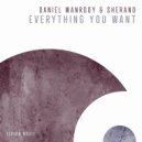 Daniel Wanrooy, Sherano - Everything You Want (Extended Mix)