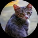 Jedsa Soundorom, Julio Red - Stray Catz (Original Mix)