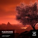 Naoking - Darley Arabian
