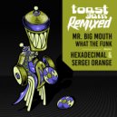 Mr. Big Mouth - What The Funk (Sergei Orange Remix)